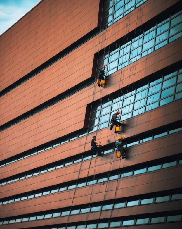 Trained Professionals